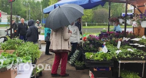 Бухгалтер из Чебоксар назвала коды из СМС и перевела свои накопления неизвестным