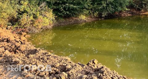 Компания выплатила больше 200 тысяч за разлив сточных вод в Яльчиках