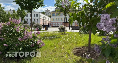В Чебоксарах устроят бесплатные экскурсии в честь Дня республики