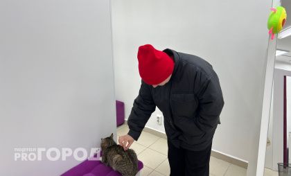 В Новочебоксарске планируют за полтора месяца с нуля построить ветеринарную клинику