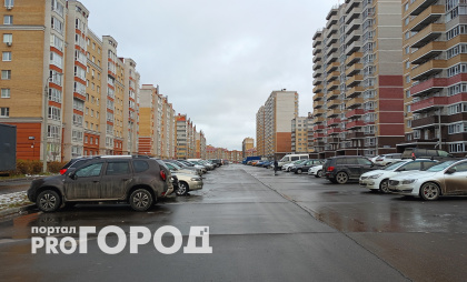 Машины этого цвета чаще всего "атакуют" птицы: рейтинг удивляет