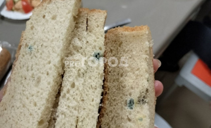 Хлеб с плесенью, который подали школьникам Чебоксар на завтрак, по словам мэрии принес чей-то родитель