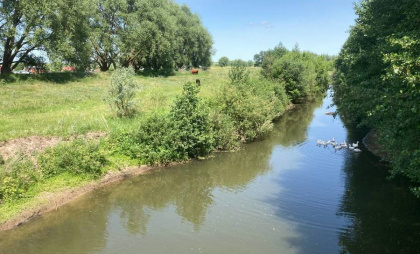 В Минприроды Чувашии признали чистой реку, которую жители называли одной из самых грязных в республике