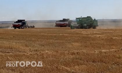 Чем Чувашия кормит индийцев, китайцев, белорусов и эмиратцев