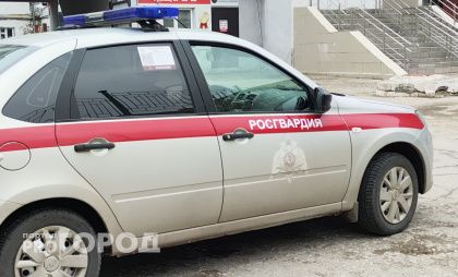 В Чебоксарах преступник в розыске попался за дебош в кафе