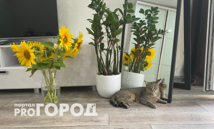 Россиянам закроют последний доступный способ купить квартиру без ипотеки