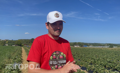 Фермер из Чувашии с блогом о клубнике вошел в сотню финалистов премии Минсельхоза России