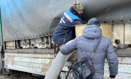 В Новочебоксарске в Волгу выпустили более 17 тысяч мальков толстолобика