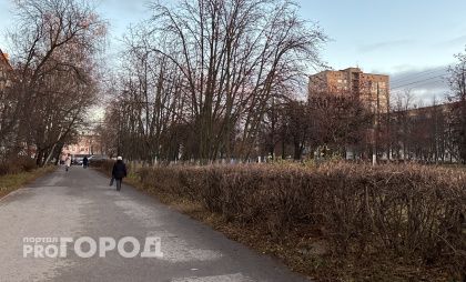 Пока без снега и дождя: пятничный прогноз погоды в Чувашии 