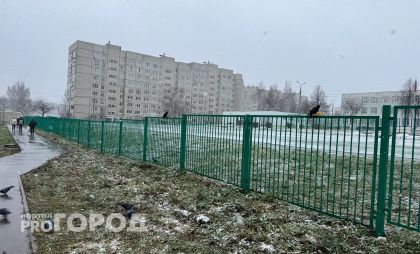 Зима вступает в свои права: погода в Чувашии на 8 декабря