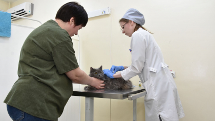 В Чебоксарах открылся первый госветкабинет с оборудованием экспертного класса