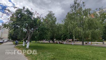 Ветра с севера и небольшие дожди: о погоде в Чувашии 26 июня
