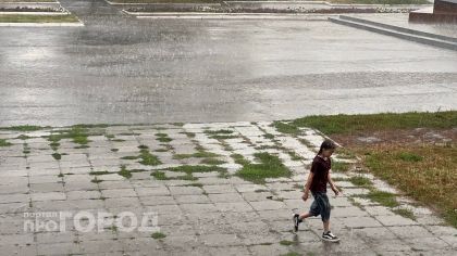 Дождевые облака кочуют над Чувашией: прогноз погоды на 28 июня