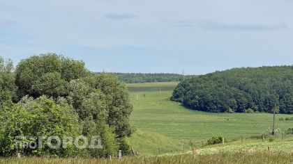 Древние валы, рвы и курган: в Чувашии взяли под охрану два памятника археологии