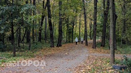 В Чувашии возродят дореволюционные дубравы Гузовского по забытой царской методике