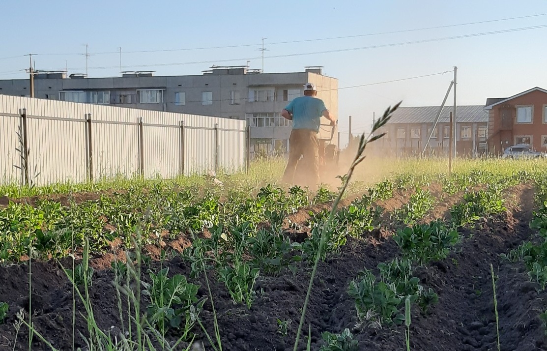 Выплату на строительство жилья в селе смогут получить больше жителей Чувашии