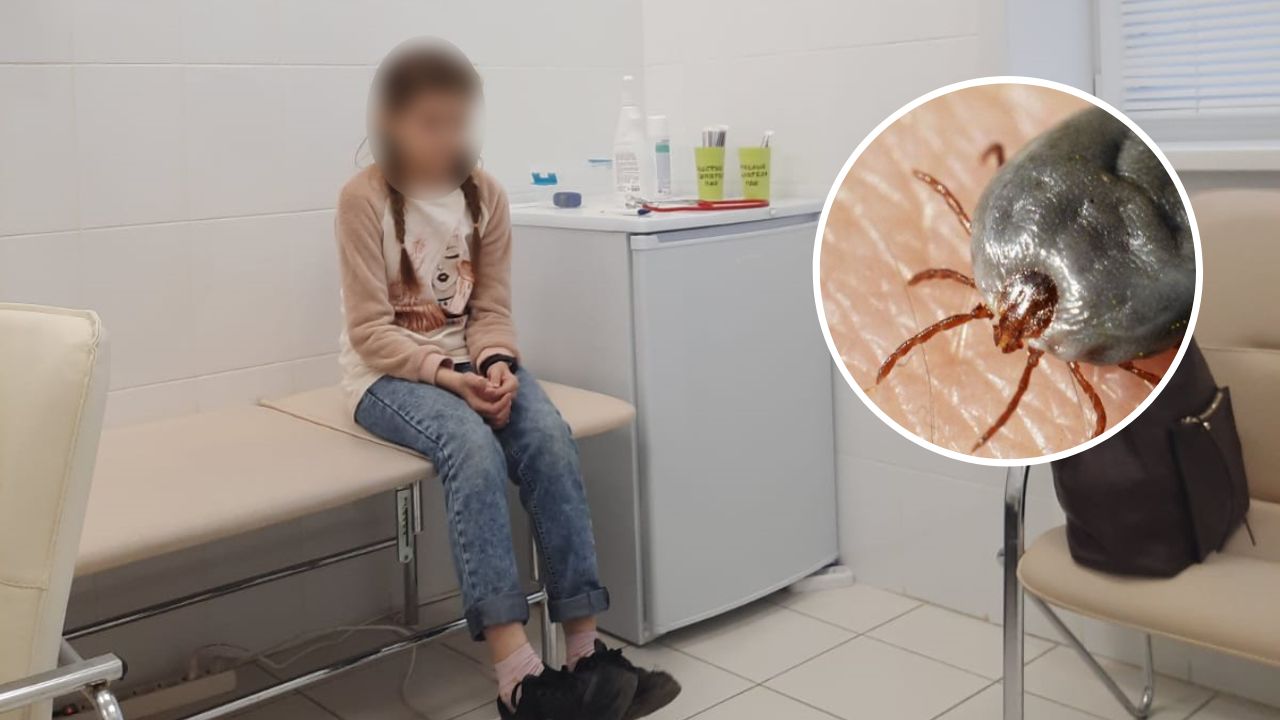 В Новочебоксарске 11-летнюю девочку укусил энцефалитный клещ