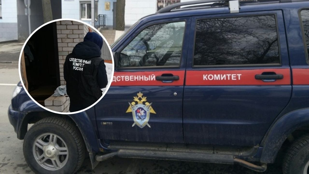 За убийство младшего брата жителя Янтиковского района отправят в психушку