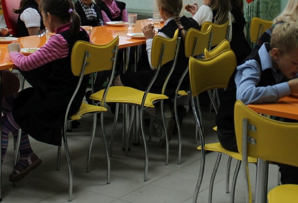В чувашских школах находят испорченные и небезопасные продукты для детских обедов