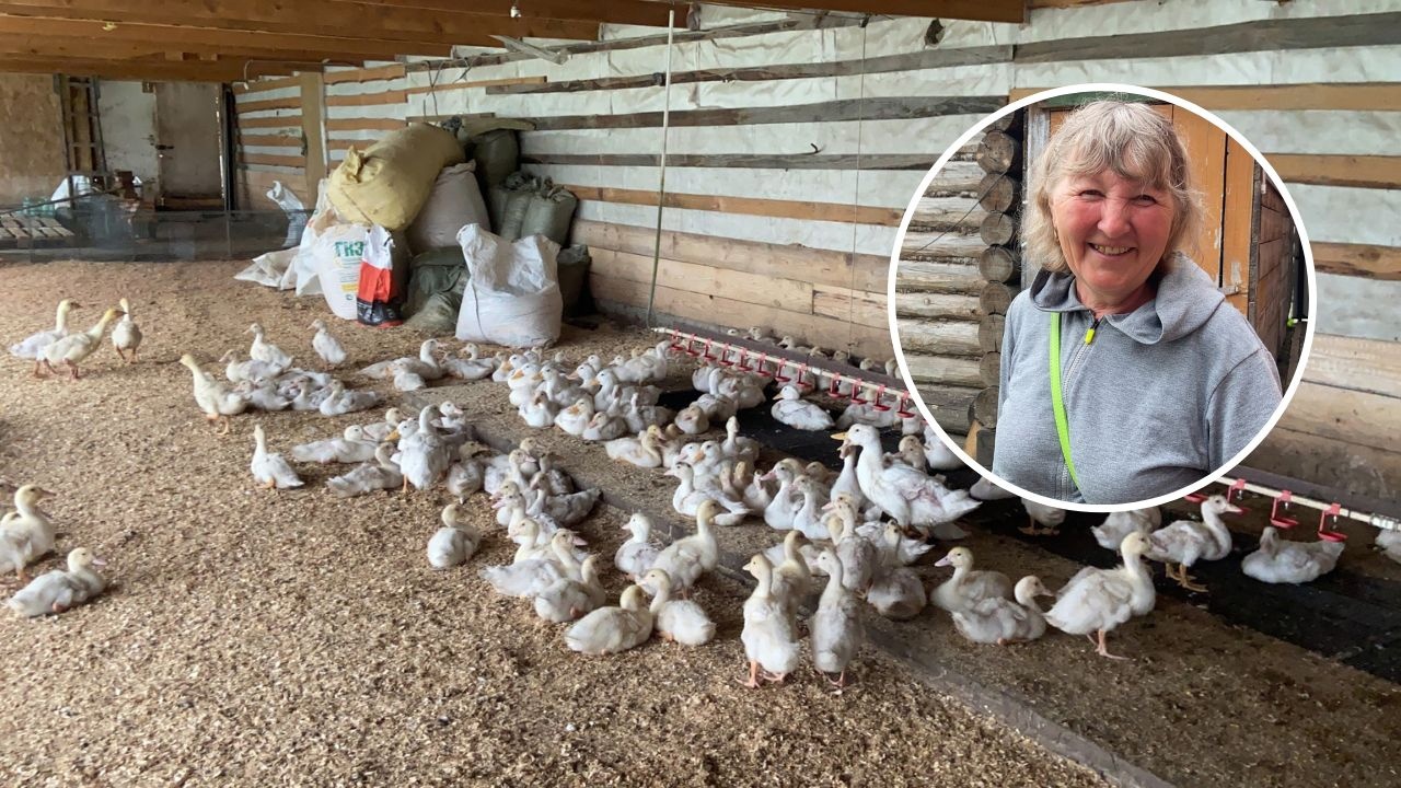 Хозяйка фермы о санкциях и дефицитных птицах: "Государство ни копейки не выделило"
