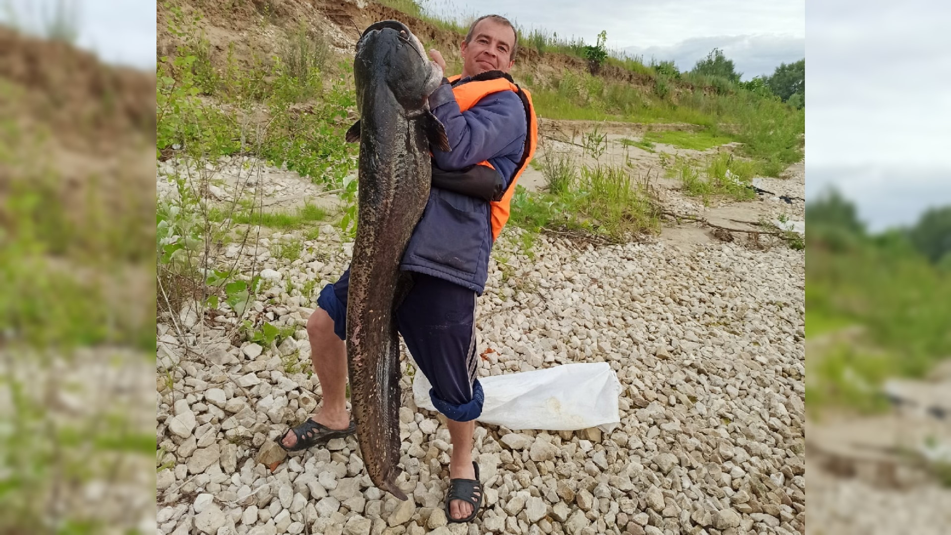 В Чувашии рыбак поборол 20-килограммового сома, поймав его на червя