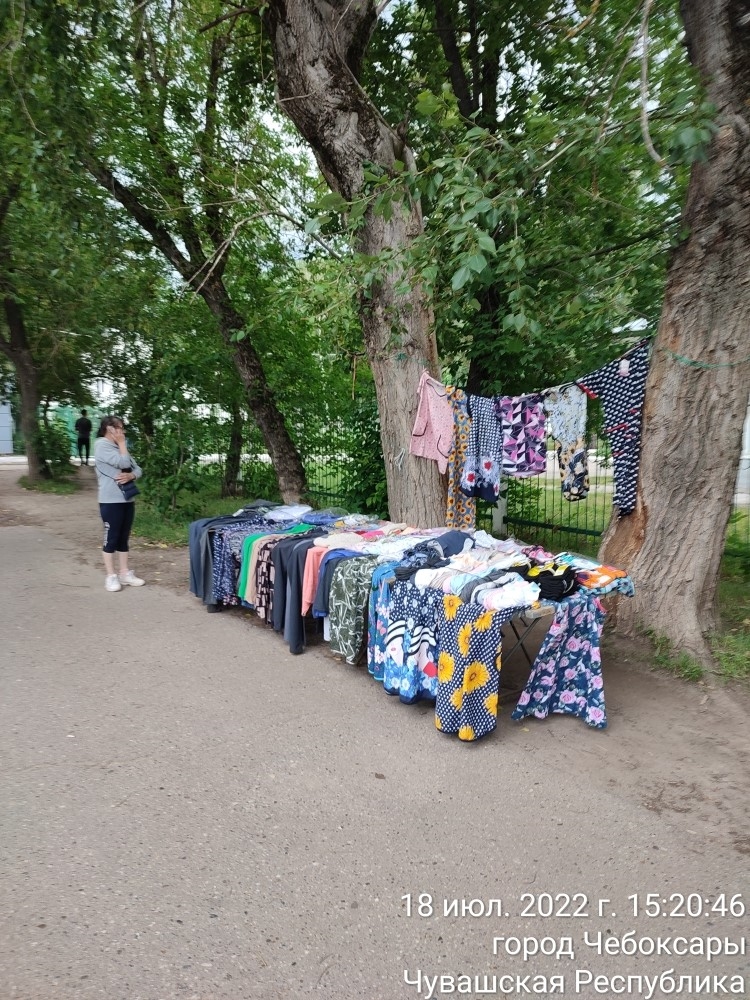 В одном из районов Чебоксар устроили облаву на торговок трусами, молоком и ягодами