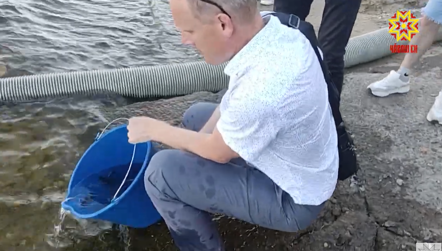 Мальков краснокнижной стерляди выпустили в Чебоксарское водохранилище