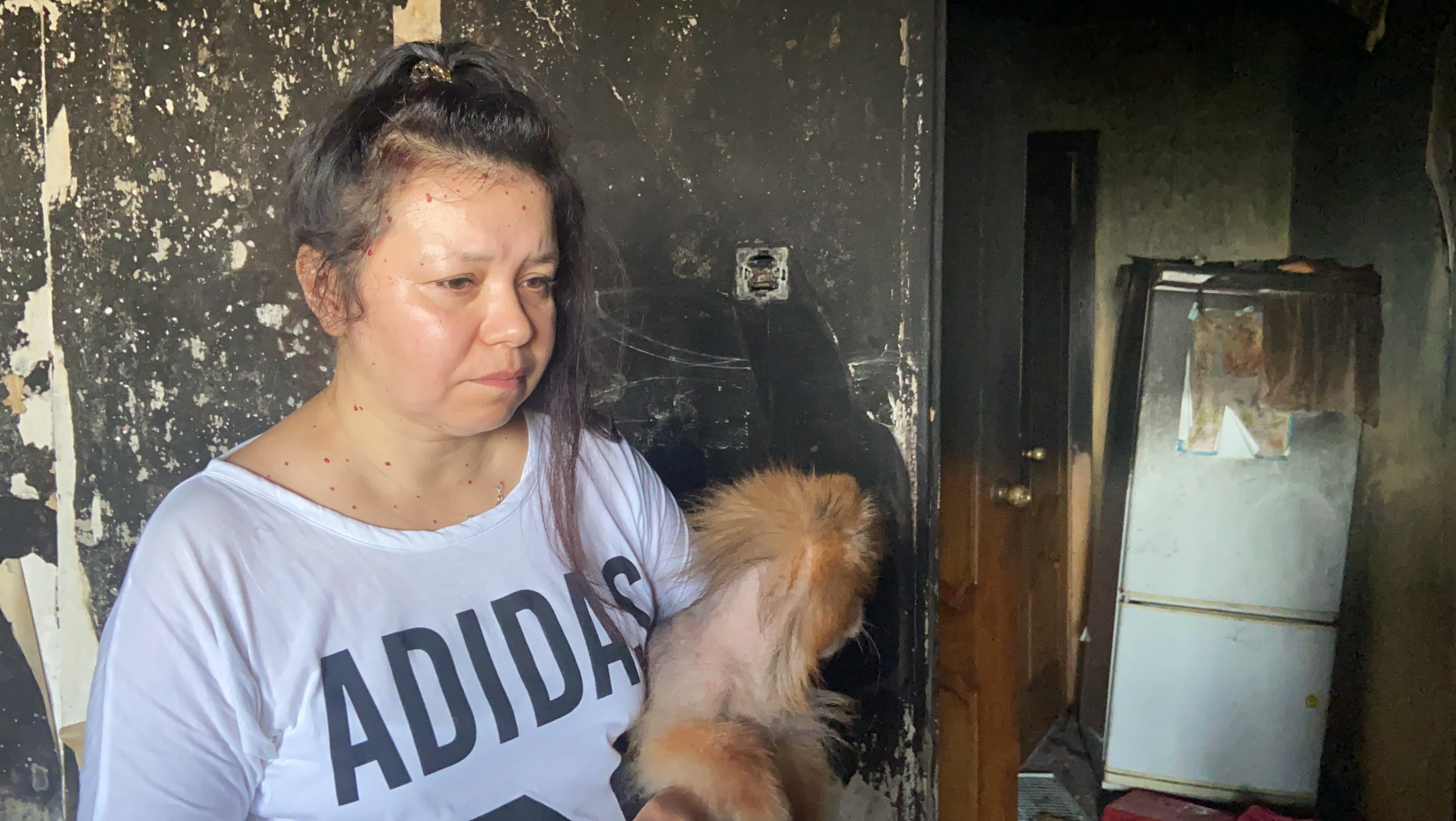 Хозяйка сгоревшей квартиры и погибших питомцев в Чебоксарах: "Проснулась, все в дыму"