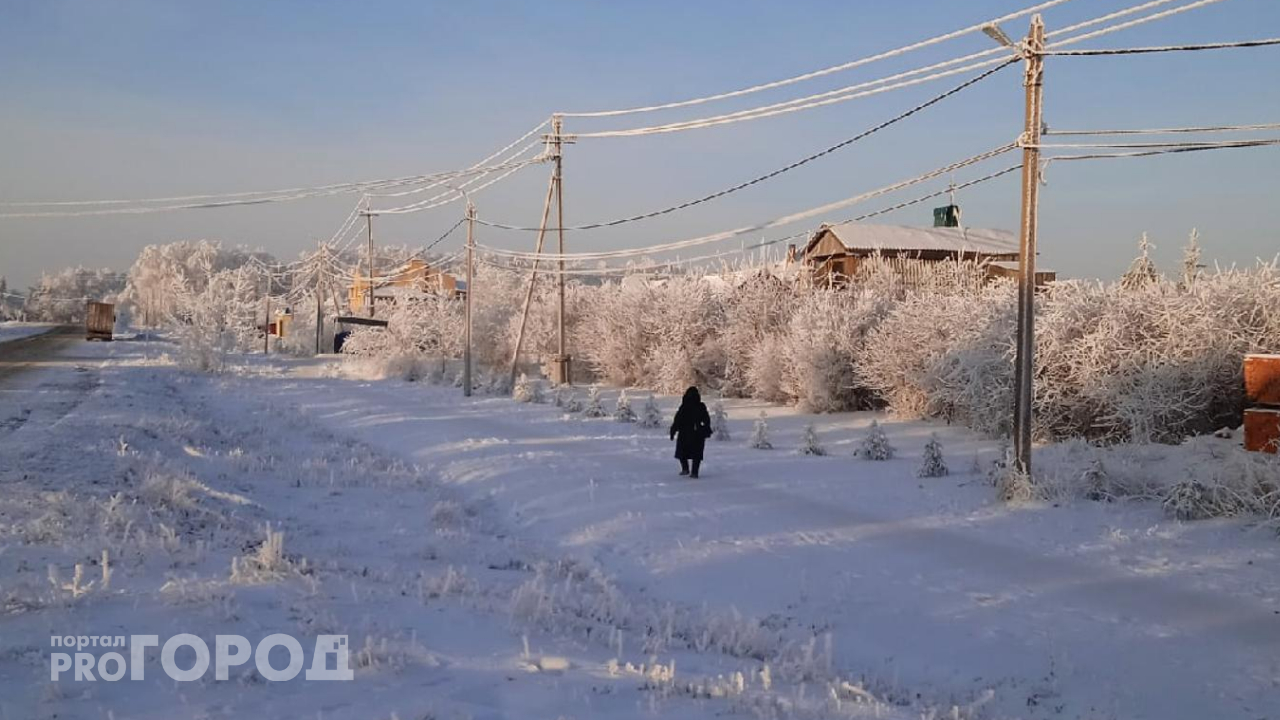 Метели и потепление сменят морозы в Чувашии