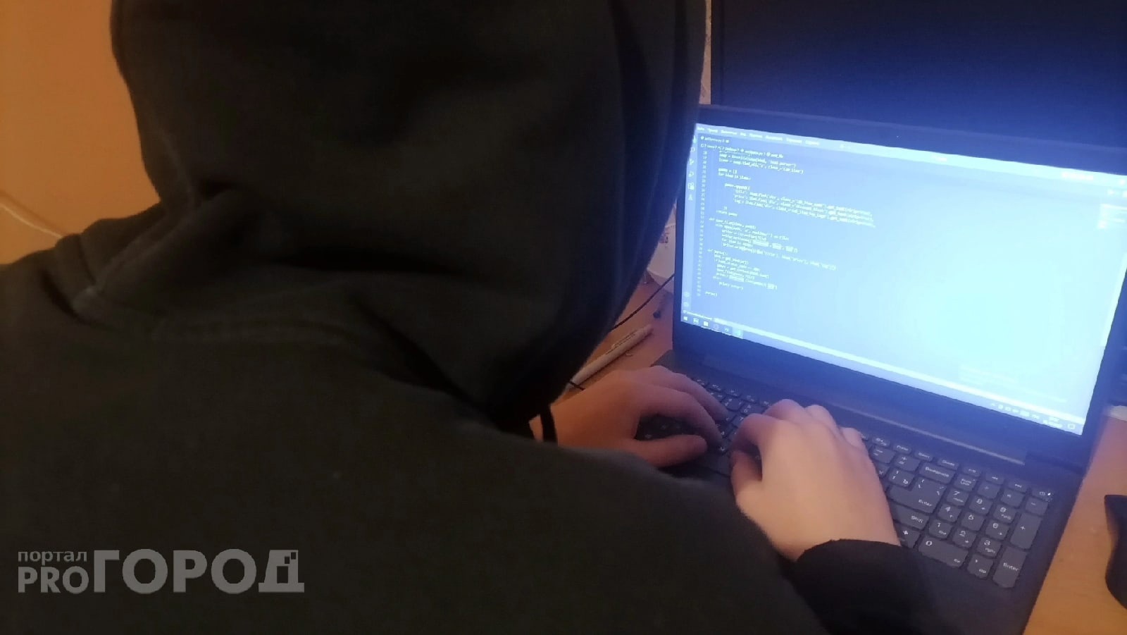 В Шумерле поймали 18-летнего хакера на атаке энергообъекта в Хакасии