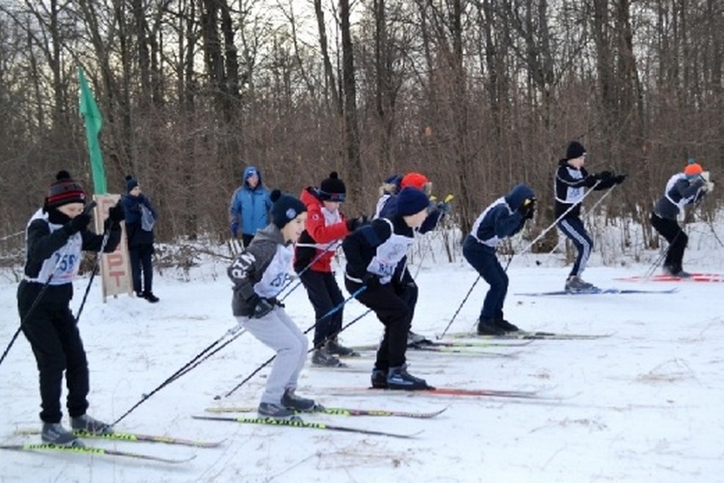 Лыжи, хоккей, коньки: чем спортивным заняться на 10 дней в Чувашии