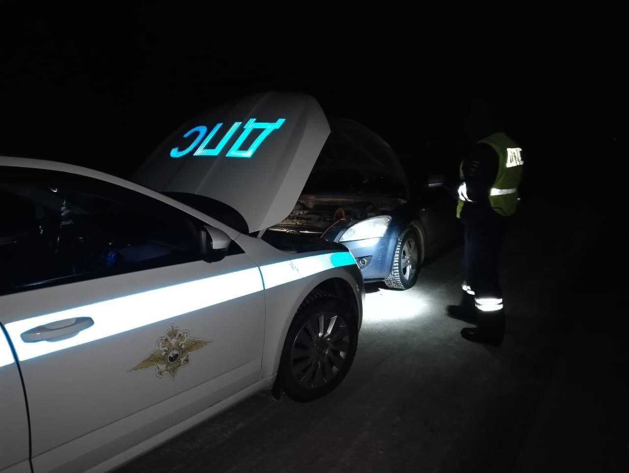 В Чувашии полицейские спасли от холода беременную автоледи и ее пассажиров