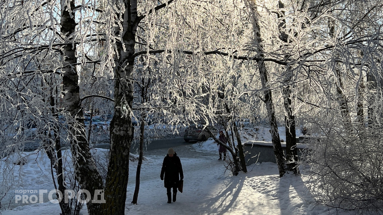 Весеннюю оттепель в Чувашии могут сменить крепкие морозы