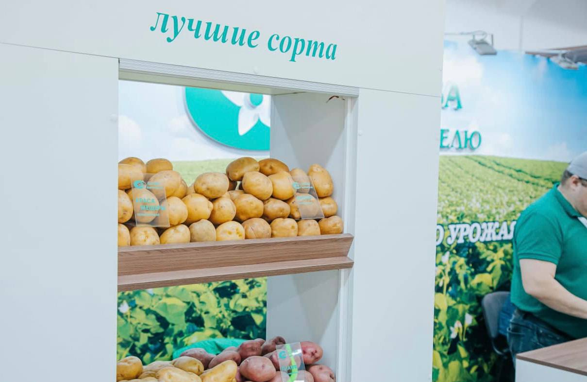 Картошка заморская и отечественная: что будут продавать на выставке в Чебоксарах