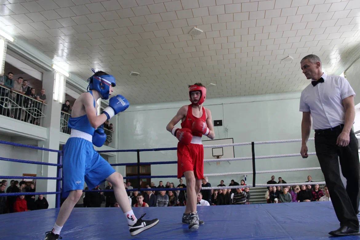 В Чебоксарах проходит первенство города по боксу на призы Евгения Кадышева 