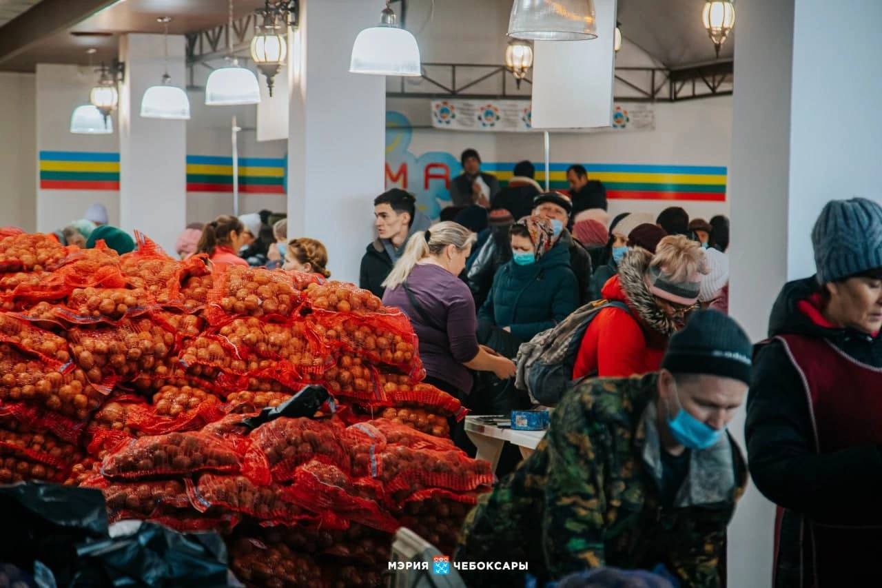 Картофельная выставка соберет длинные очереди в Чебоксарах