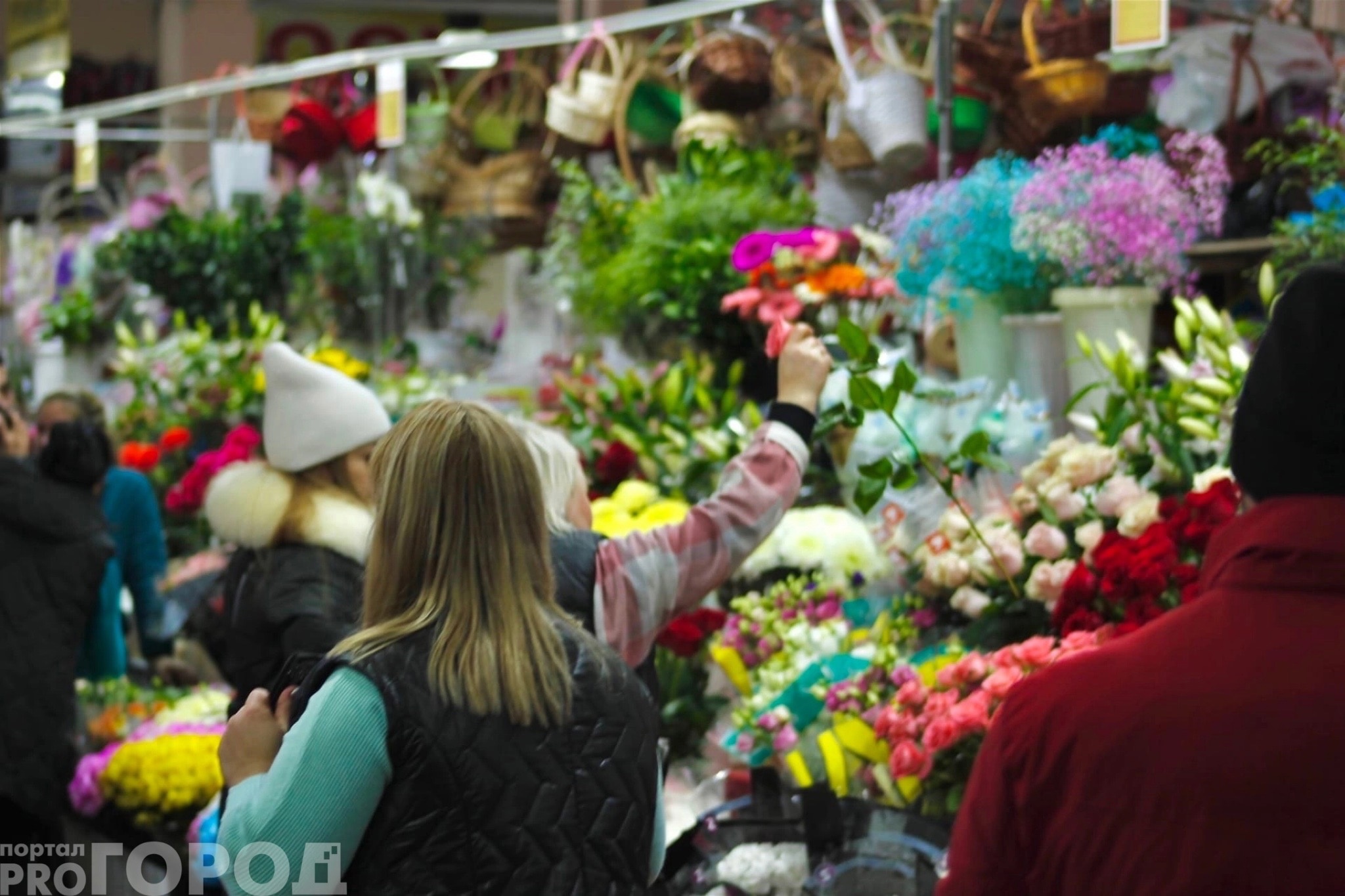 Эксперты дали советы жителям Чувашии, как выбрать хороший букет цветов
