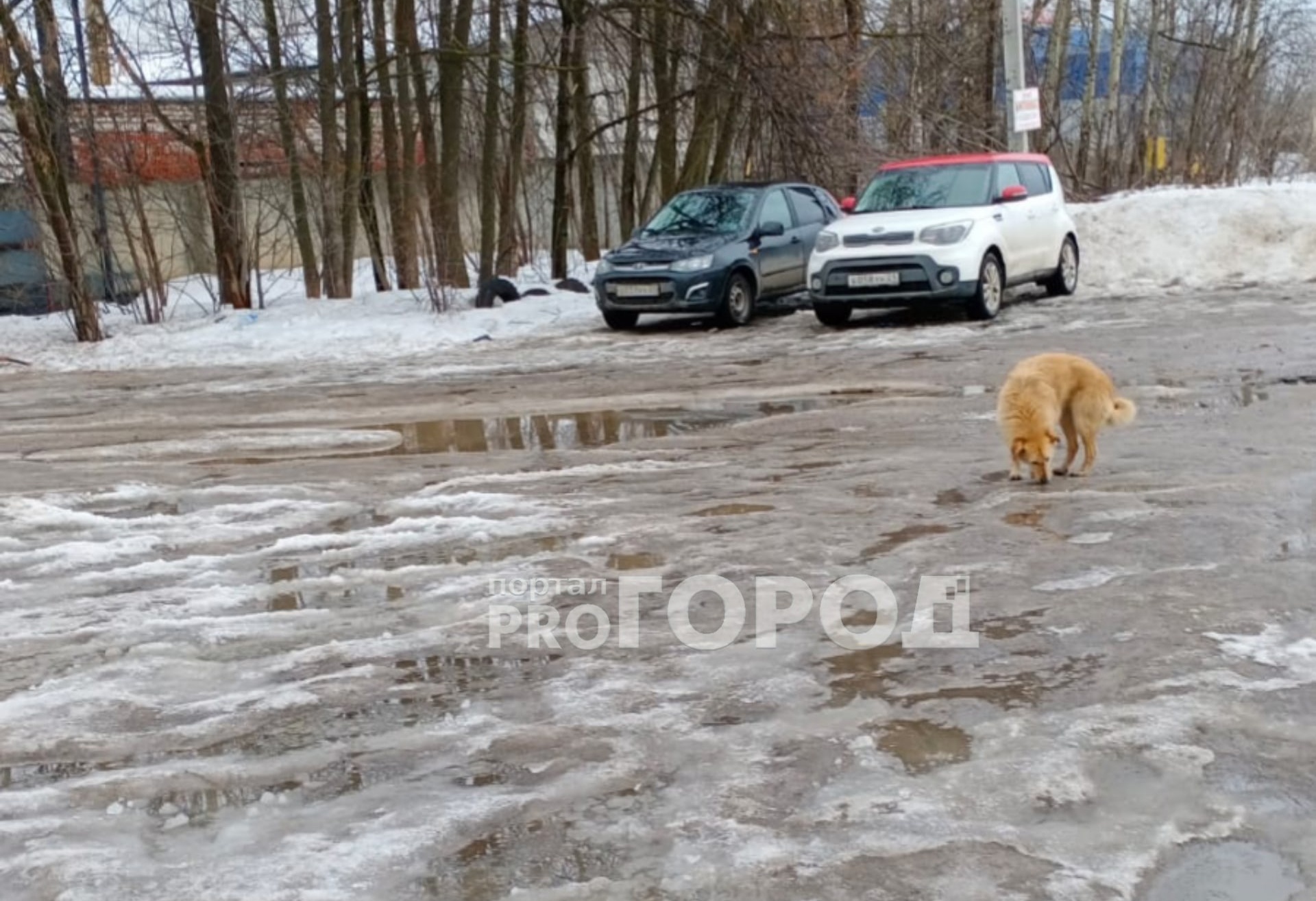 Лапсарский проезд отремонтируют по исключительному договору