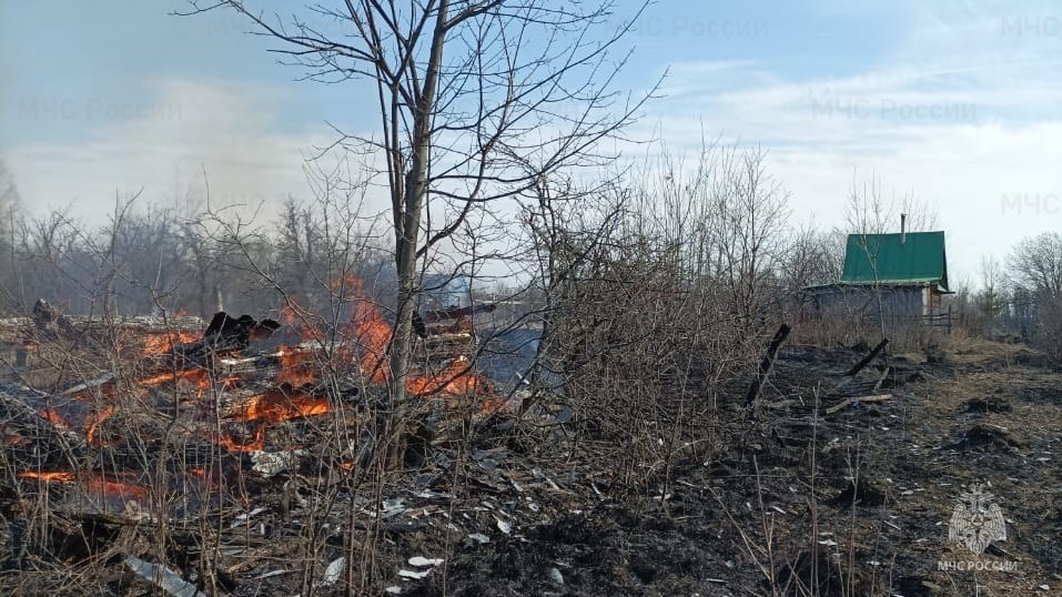 Пал травы уничтожил пять дач и подворье за воскресенье в Чувашии