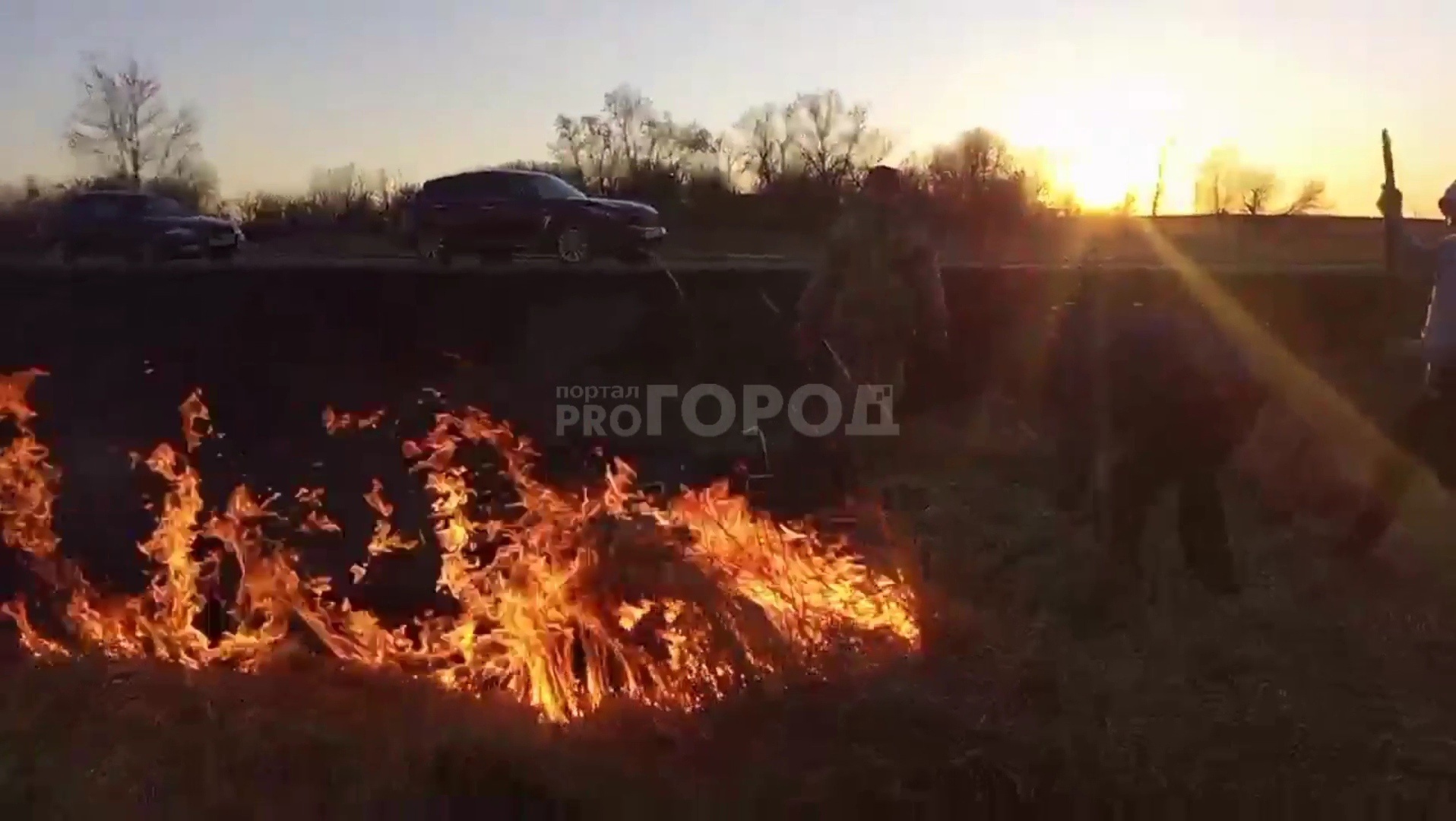 Рядом с Птичьим полетом загорелось поле: "Огонь подходил к деревне"