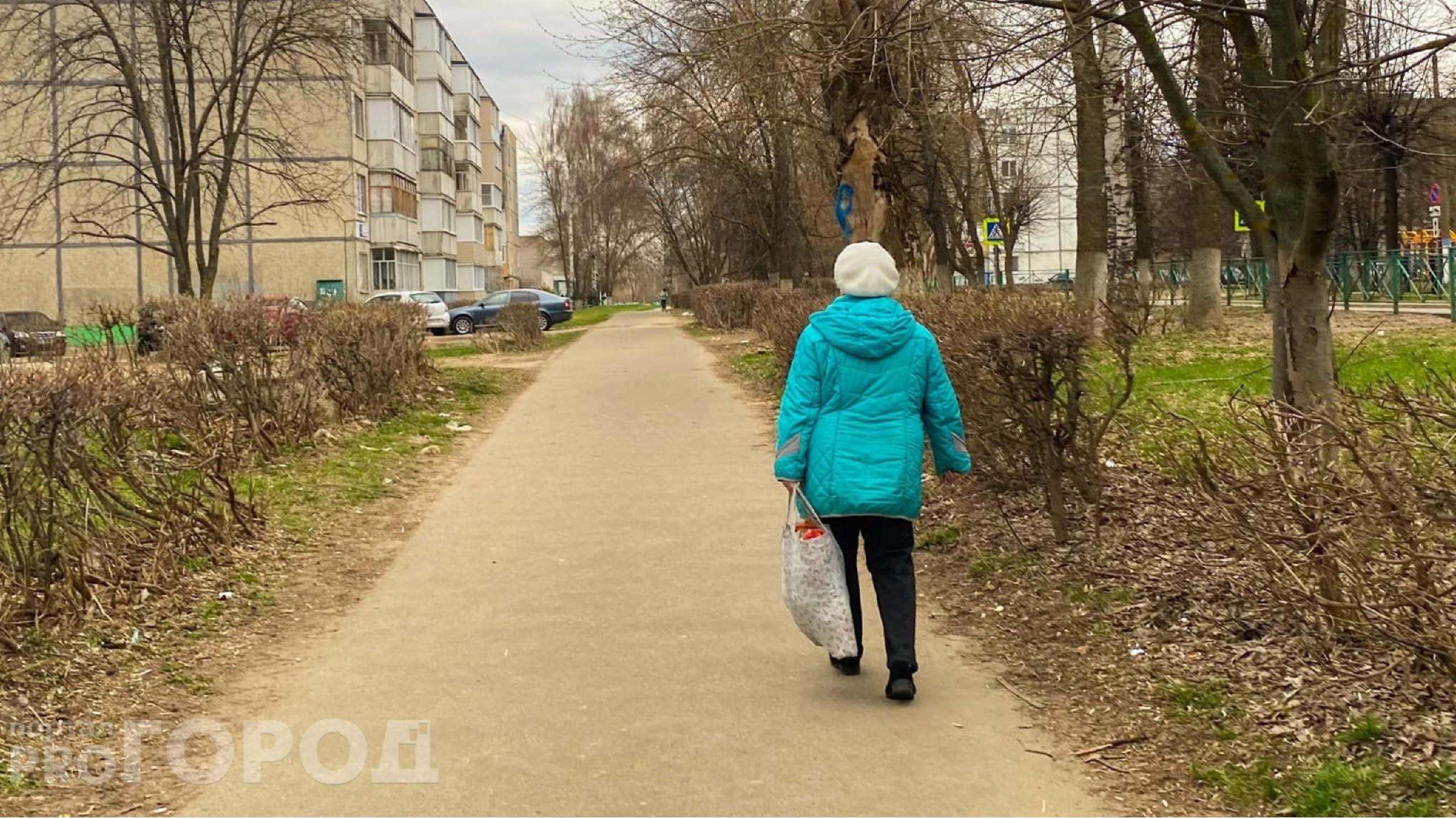 Чебоксарка хотела разбогатеть на инвестициях, но чуть не осталась с долгом в 300 тысяч