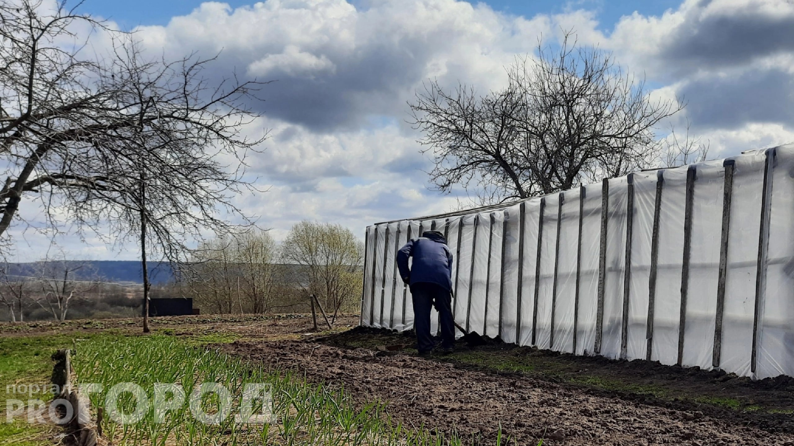 Дачникам напомнили о ядовитых растениях, которые нельзя выращивать