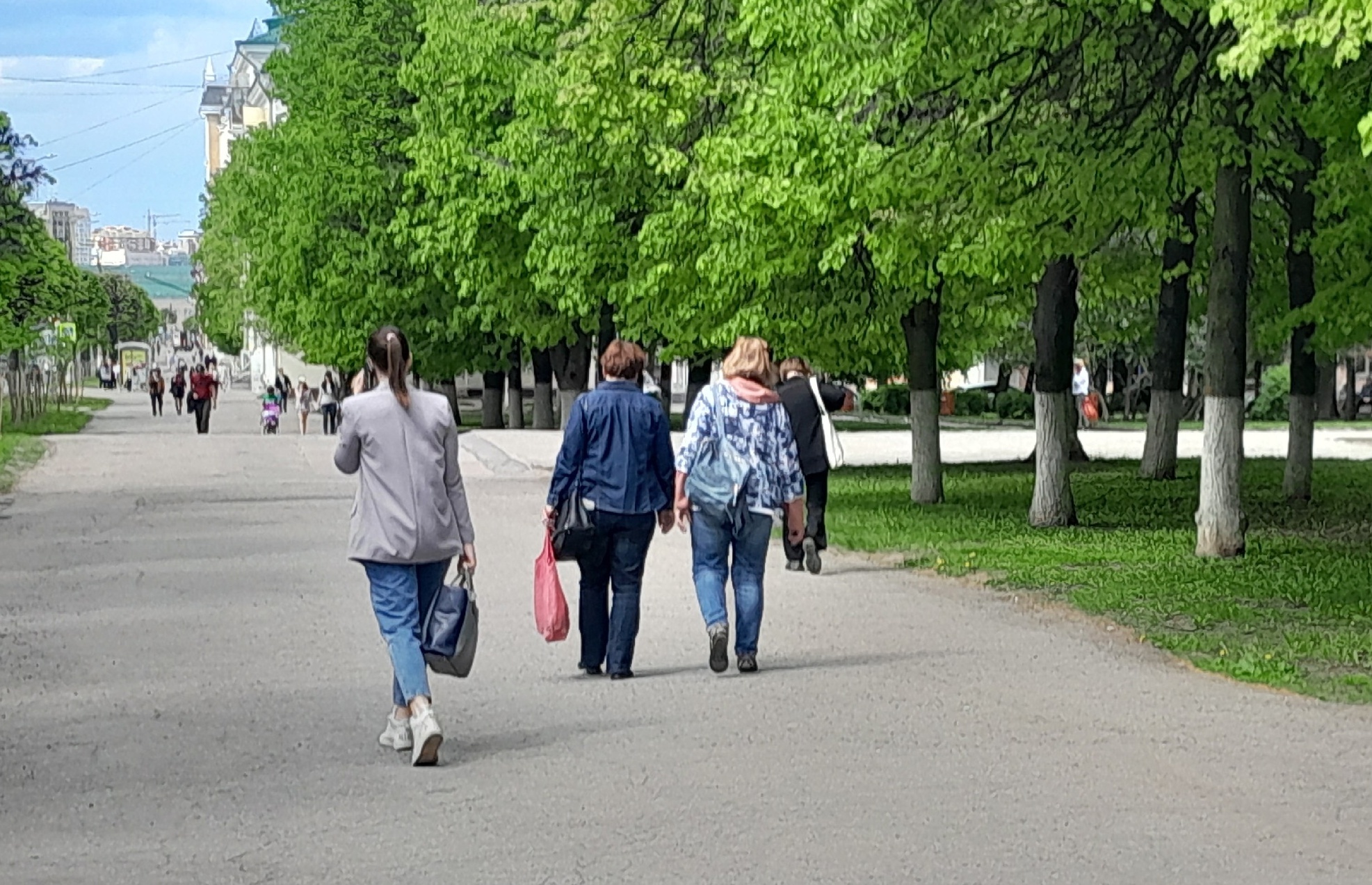 В понедельник Чувашию ожидает до +20, но ветер холодный