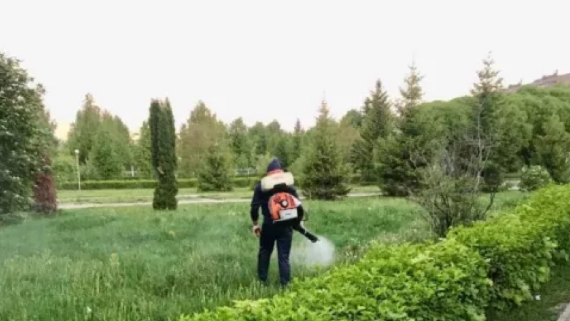 Будут ли травить клещей с комарами в Чебоксарах и Новочебоксарске