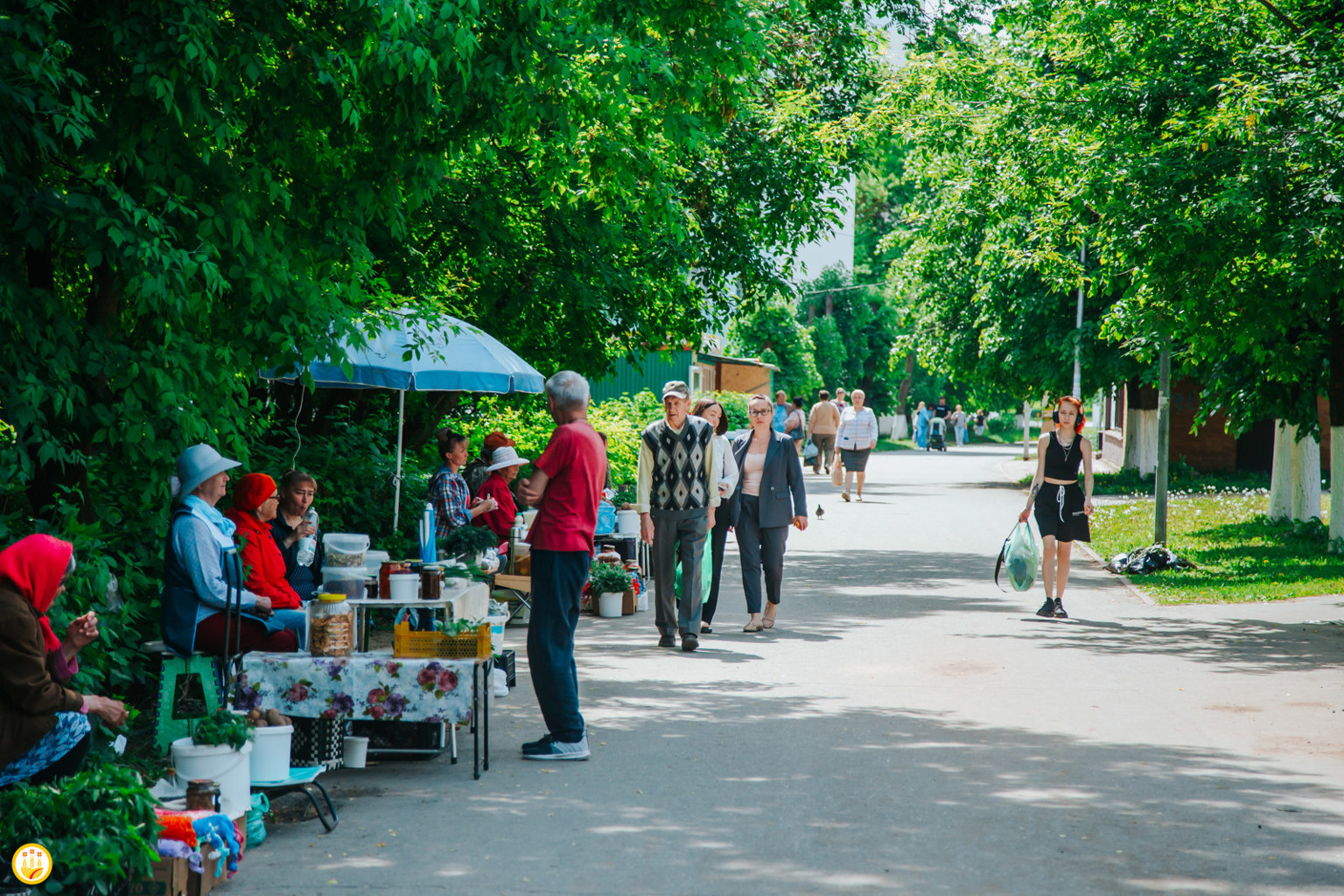 В Новочебоксарске появится мини-рынок лучше чебоксарского