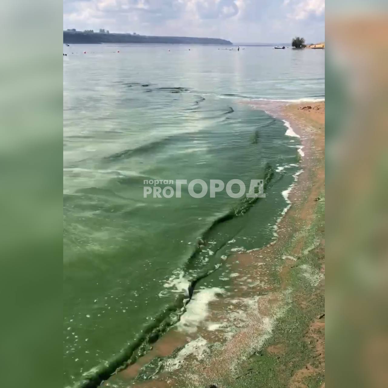 Волга в Чебоксарах превратилась в зеленую жижу