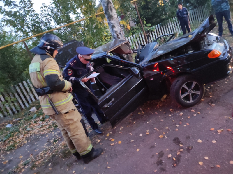 В Чувашии произошло смертельное ДТП: водитель "Лады" разбился о дерево