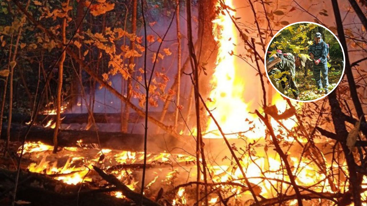 В Чувашии полсотни людей тушили два лесных пожара