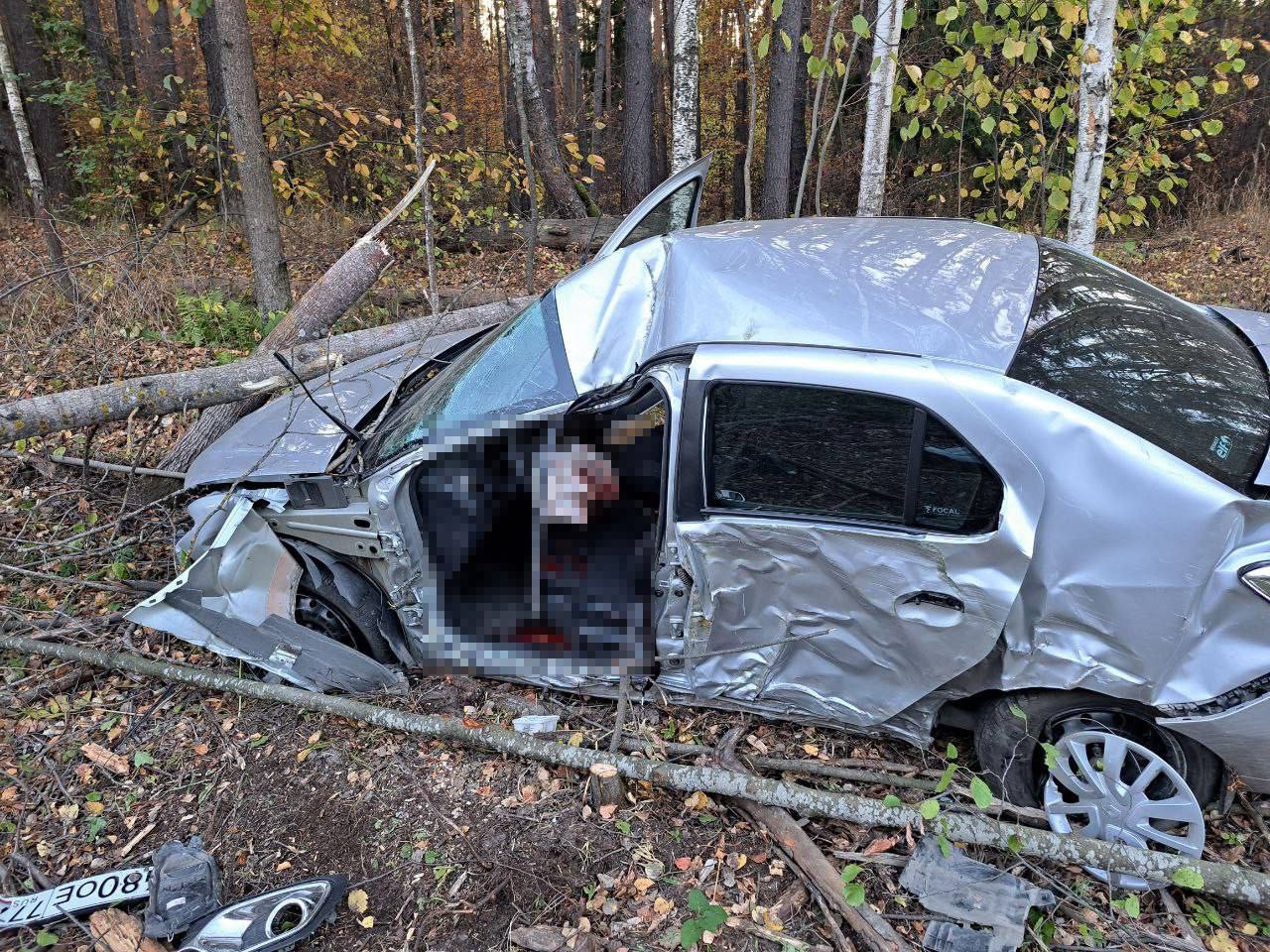 В Чувашии на трассе Чебоксары-Сурское произошло смертельное ДТП: водитель врезался в дерево