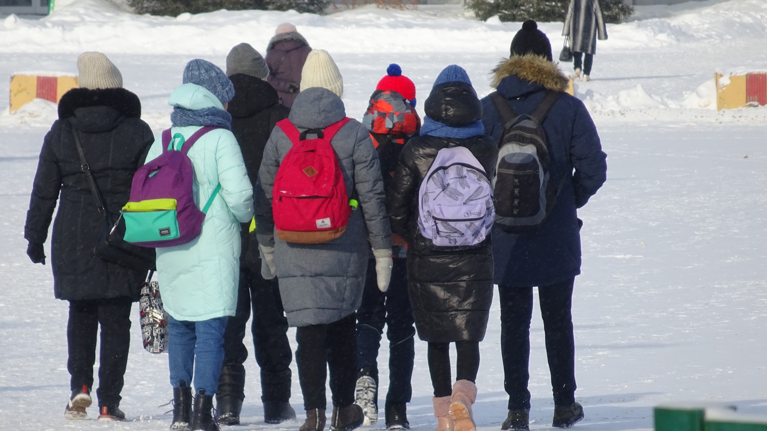 При каком морозе школьники Чувашии перейдут на дистанционное обучение